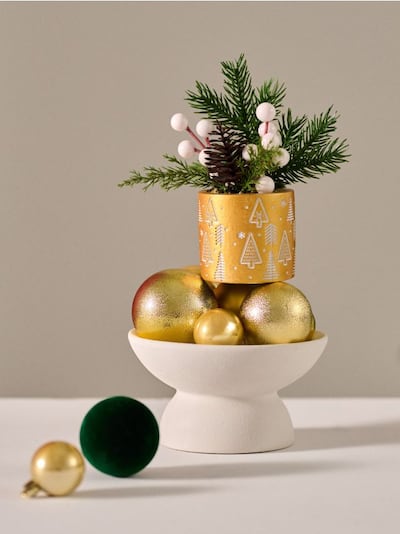 Ukrasna biljka sa božićnim motivom