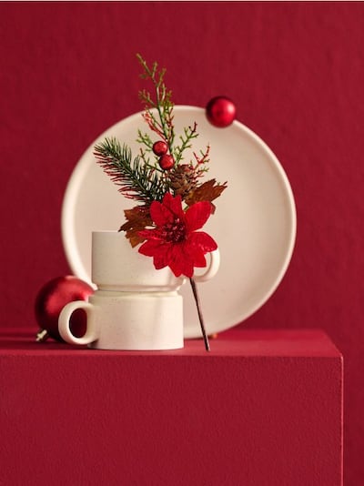 Božićna ukrasna biljka - Betlehemska zvezda 2 pack