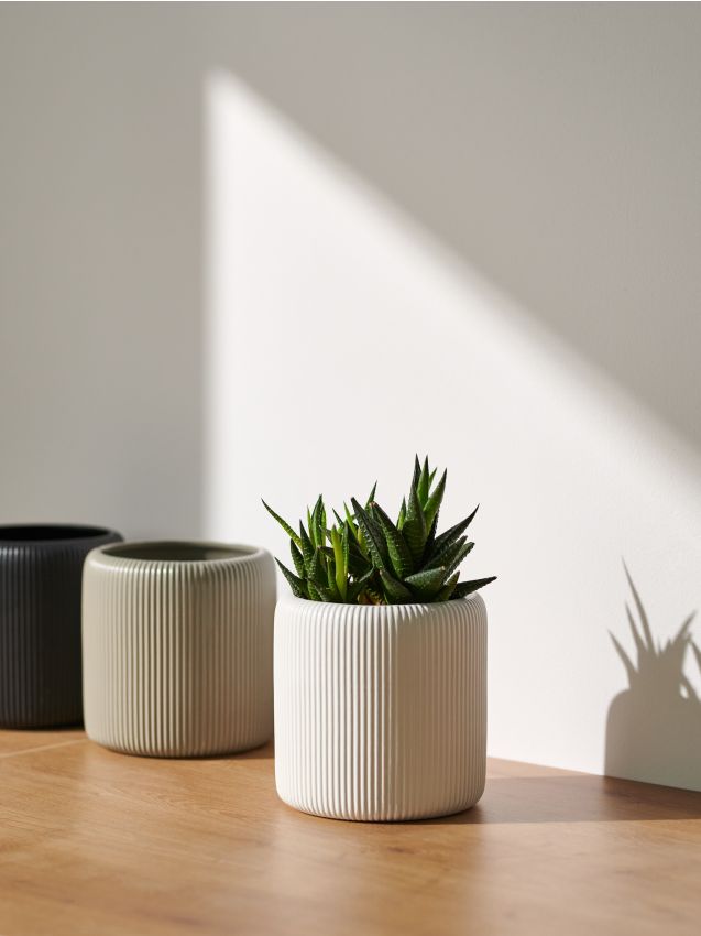 Sinsay - Ghiveci decorativ - alb