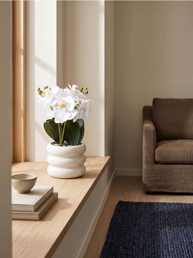 Sinsay - Plantă decorativă în ghiveci – orhidee - alb