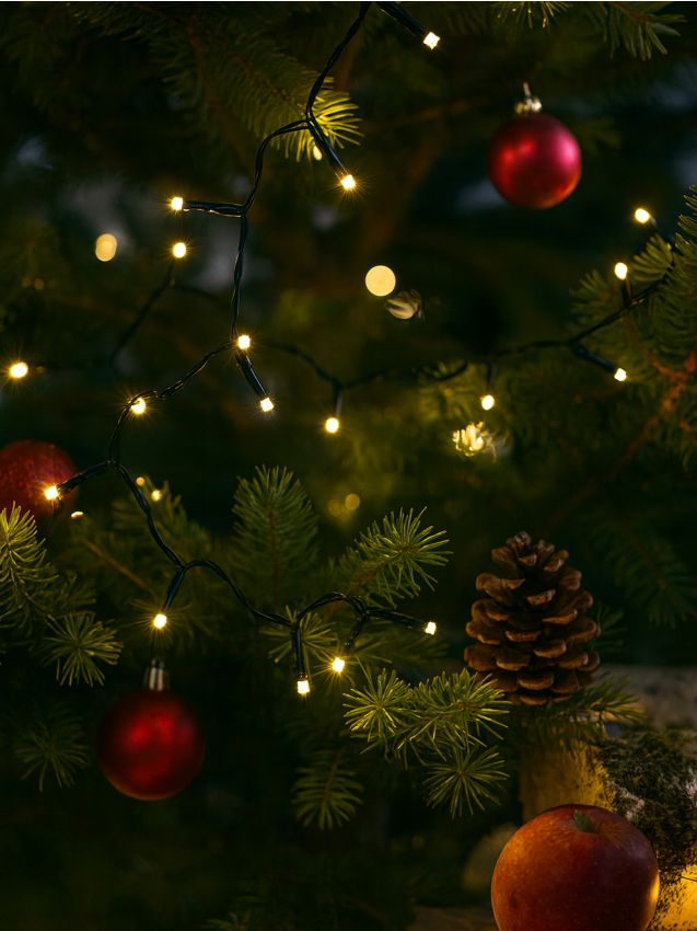 Sinsay - Vianočné svetlá - svetlooranžová