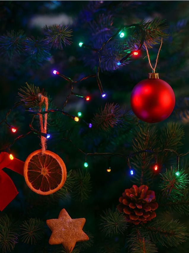 Sinsay - Vianočné LED svetielka - viacfarebná