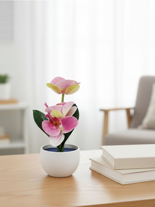 Sinsay - Plantă decorativă în ghiveci – orhidee - roz-aprins