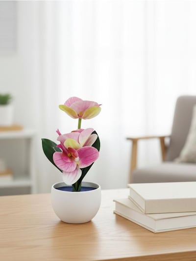 Roślina dekoracyjna w doniczce – orchidea