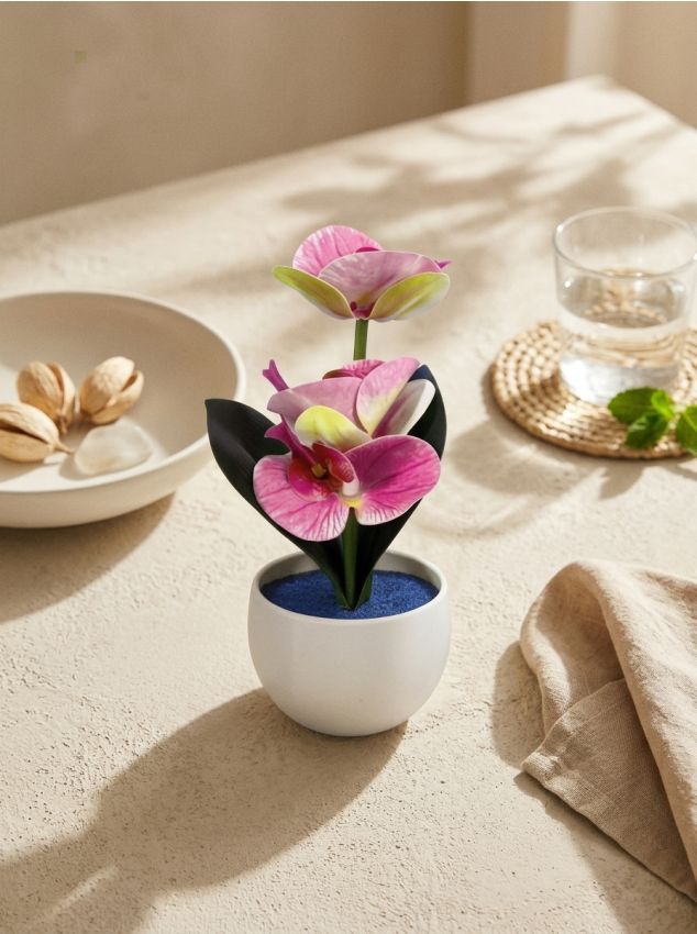 Sinsay - Plantă decorativă în ghiveci – orhidee - roz-aprins