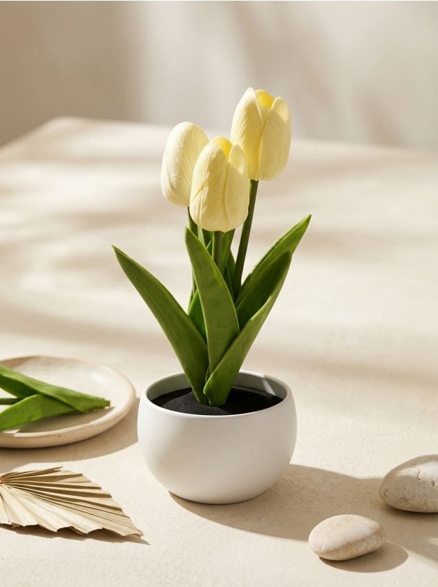 Sinsay - Lalele decorative în ghiveci - crem