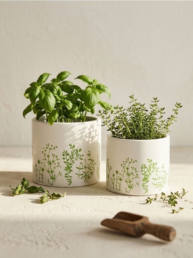 Sinsay - Ghiveci 2 pack - verde-pal