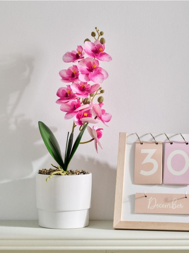 Sinsay - Orhidee artificială decorativă în ghiveci - roz