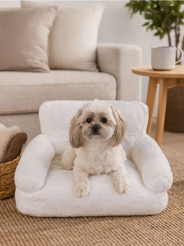 Sinsay - Postieľka pre domáceho miláčika - biela