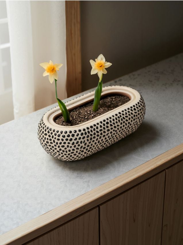 Sinsay - Ghiveci - multicolor