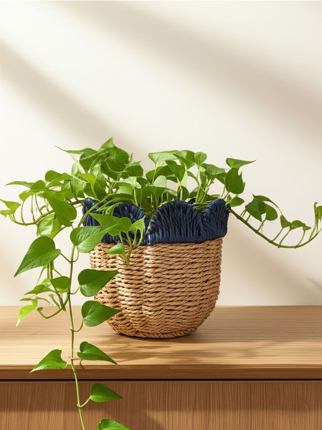 Sinsay - Ghiveci împletit - albastru