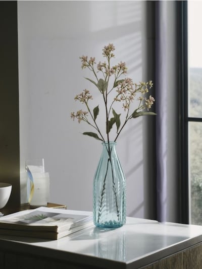 Roślina ozdobna - Eupatorium fortunei