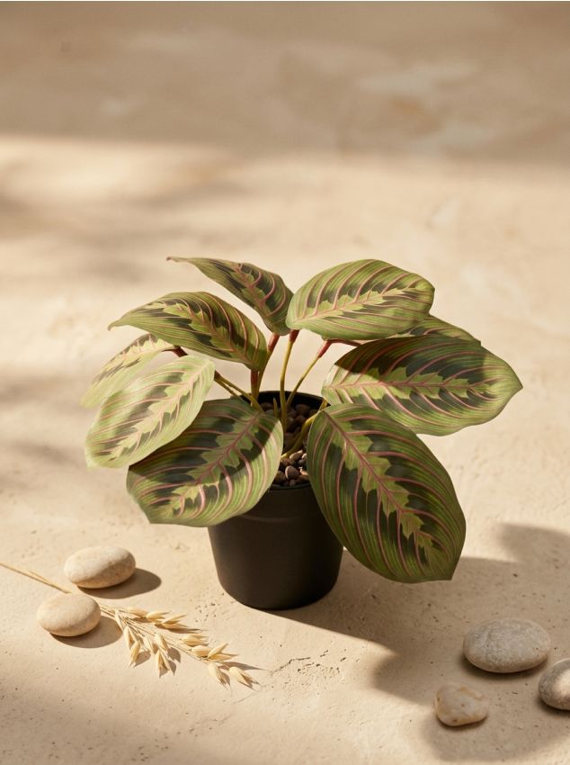 Sinsay - Plantă artificială decorativă - multicolor