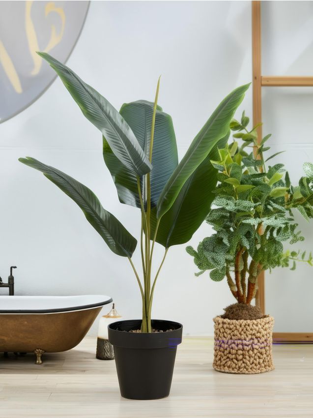 Sinsay - Plantă decorativă în ghiveci - verde