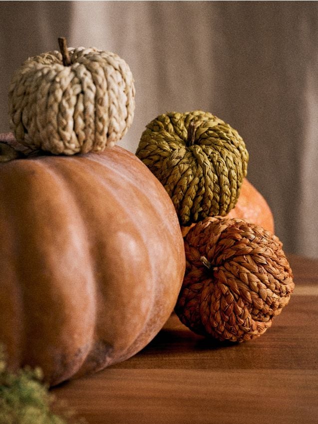 Sinsay - Set de dovleci decorativi 3 pack - bej
