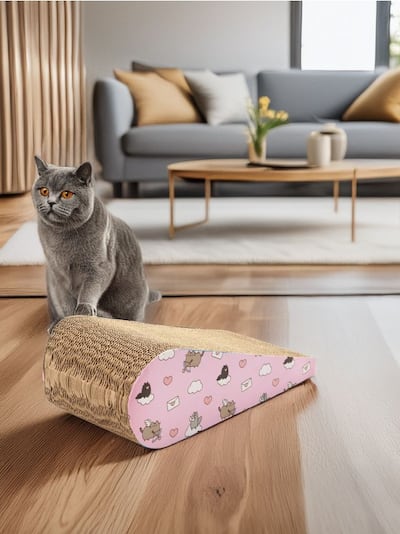 Кігтеточка для кота Pusheen