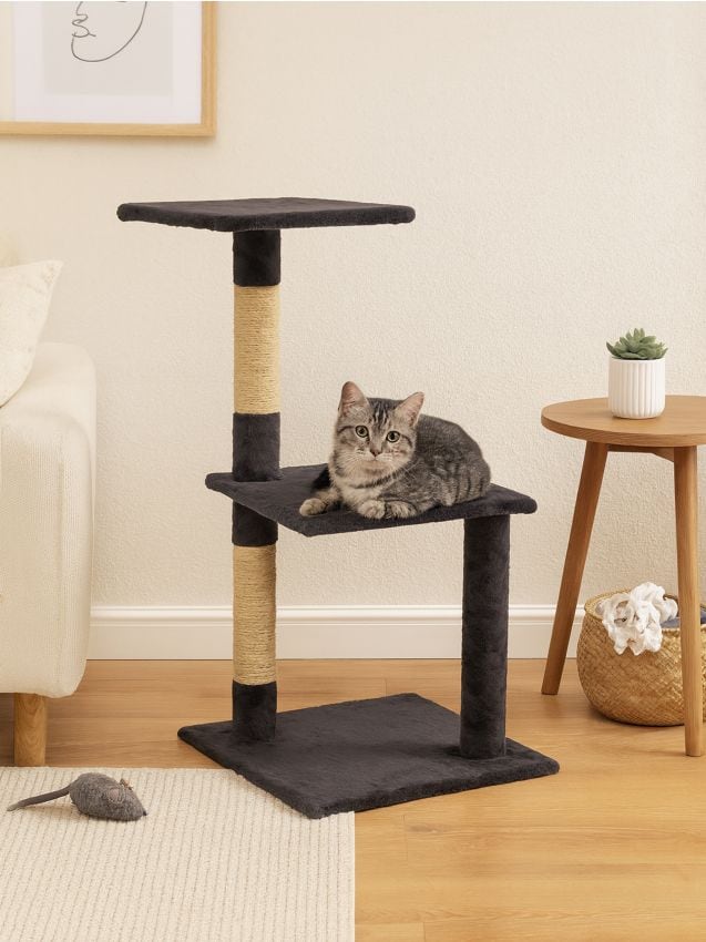 Sinsay - SCRATCHING POST - tmavosivá