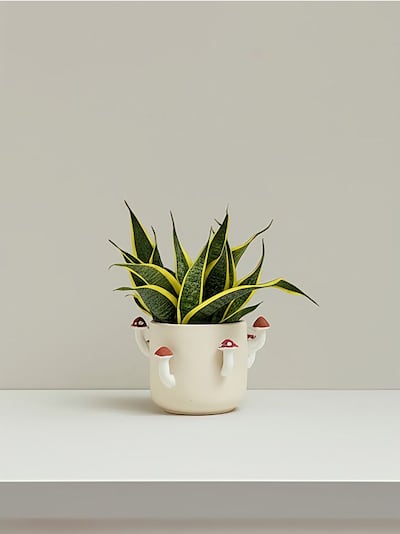 Vaso