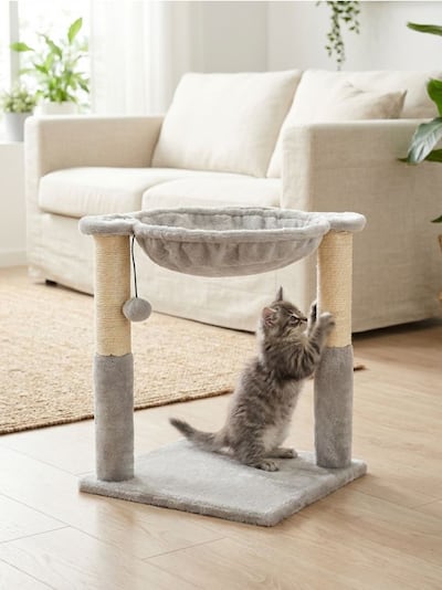 Grebalica za mačke s ležajem i visećom igračkom