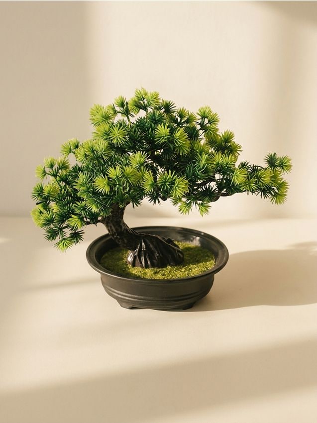 Sinsay - Plantă decorativă bonsai în ghiveci - verde