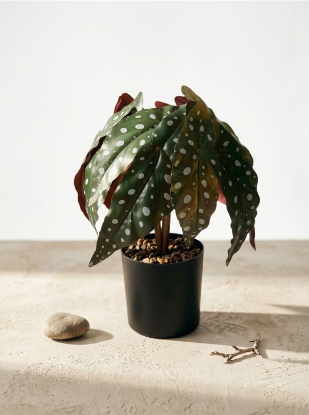 Sinsay - Plantă artificială decorativă - violet-închis