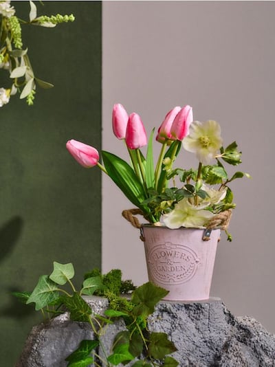 Roślina ozdobna - tulipany