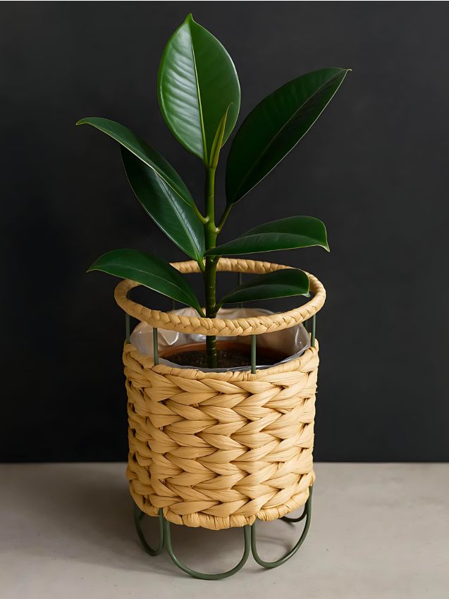 Sinsay - Pletený kvetináč - béžová