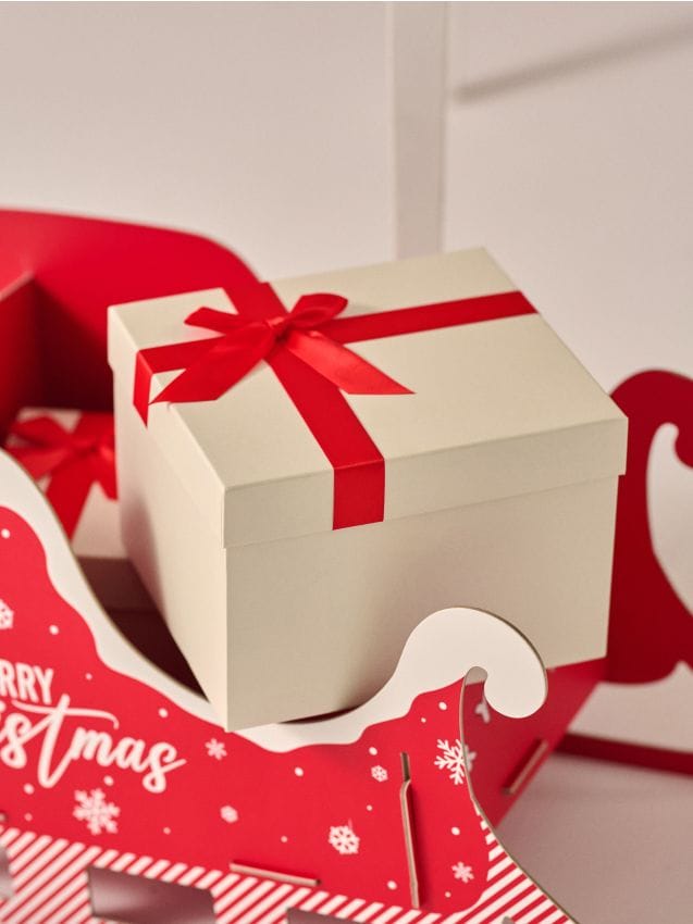 Sinsay - Darčeková krabička - telová