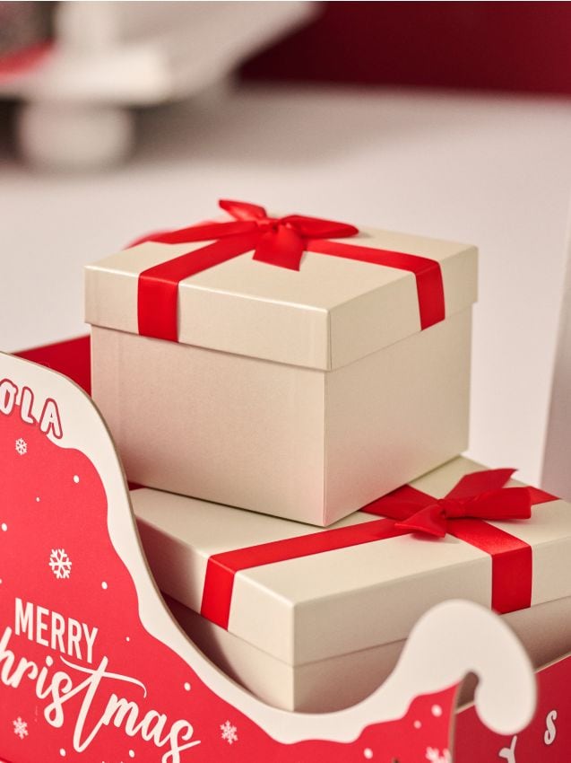 Sinsay - STORAGE BOX - telová