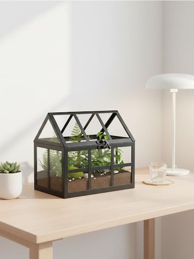 Теплиця у формі будинку