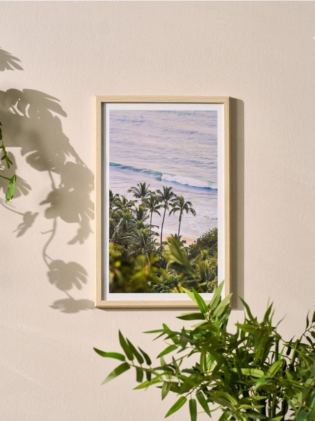 Sinsay - Poster înrămat cu motiv de palmieri - multicolor