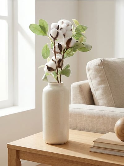 Декоративна гілка бавовни