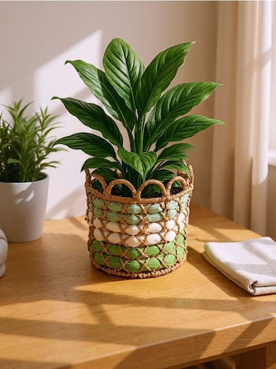 Πλεκτή γλάστρα