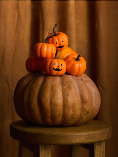 Dekoratiivsed halloween kõrvitsad 6 tk