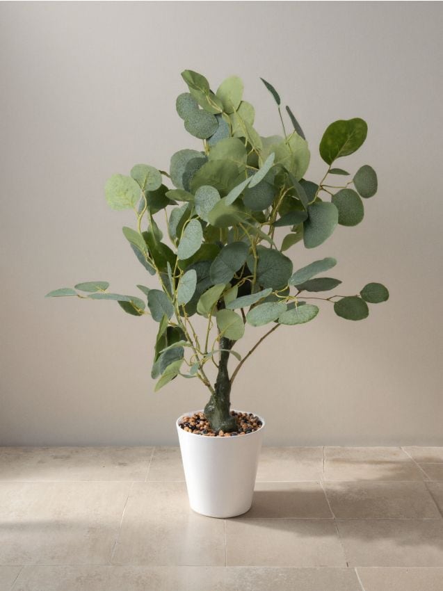 Plantă artificială decorativă - SINSAY