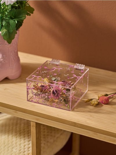 Prozorna dekorativna škatla z motivom trakov in src