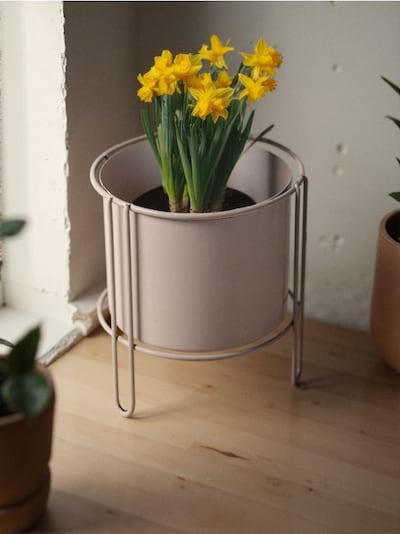 Метевий вазон