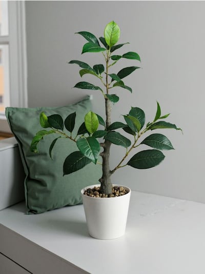 Pianta ornamentale artificiale