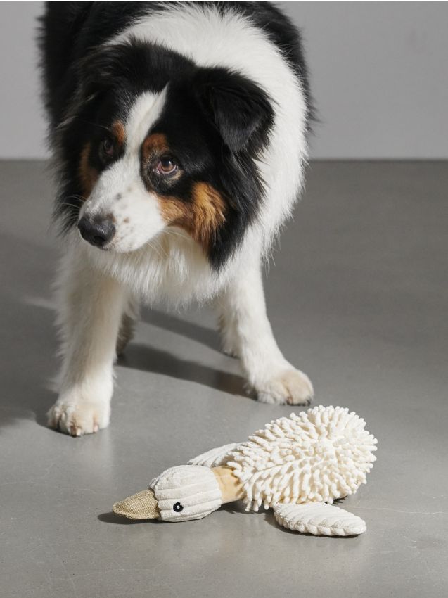 Giocattolo per animali - SINSAY
