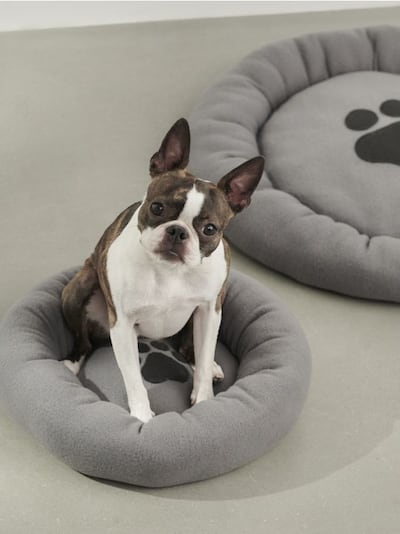 Ümmargune lemmikloomavoodi käpajälje mustriga