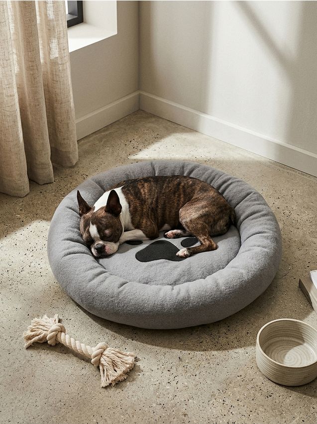 Sinsay - Pat rotund pentru animale de companie cu motiv lăbuță - gri deschis