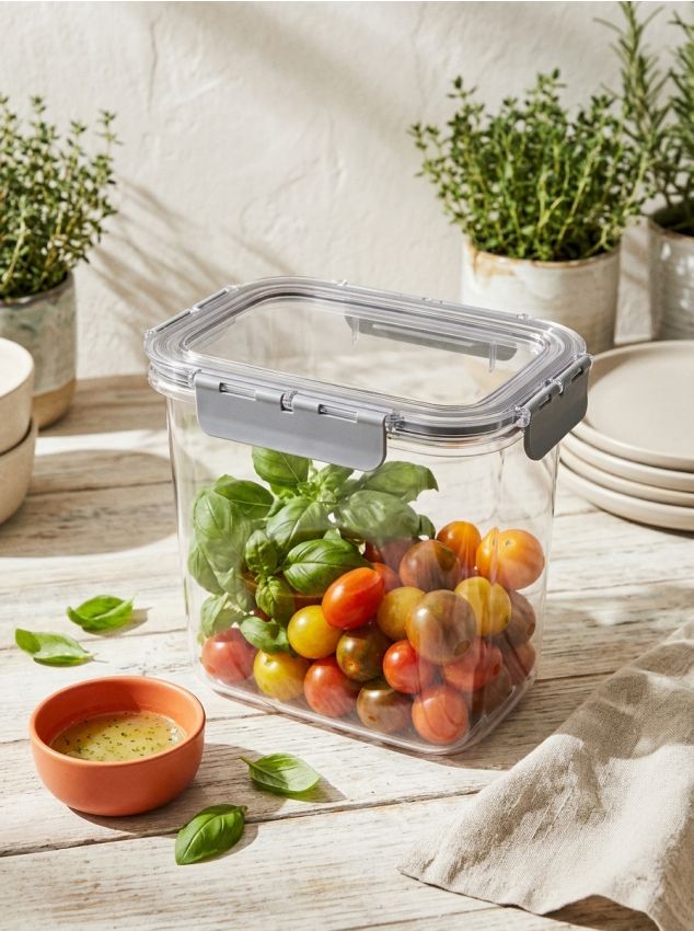 Sinsay - Recipient transparent pentru alimente cu capac - gri-închis