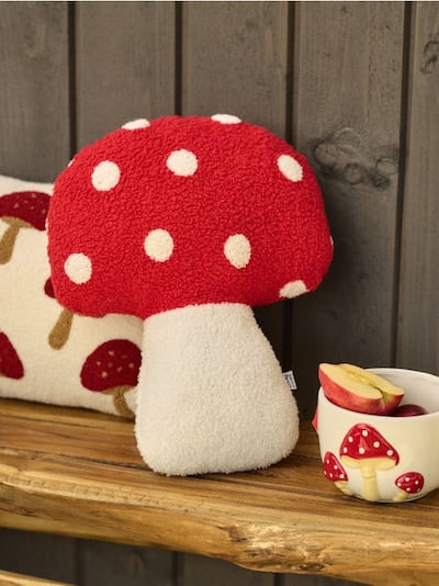 Polštář ve tvaru houby