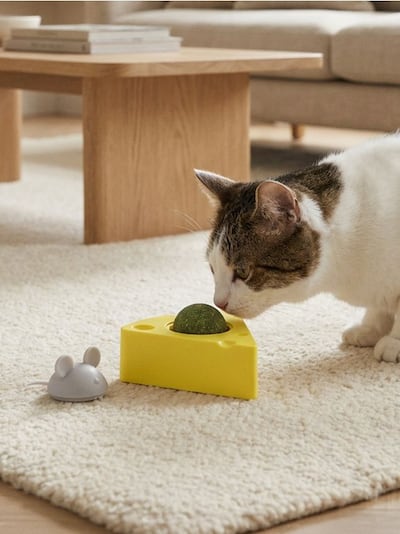 Kassimänguasi kassinaudaga hiire ja juustu motiiviga