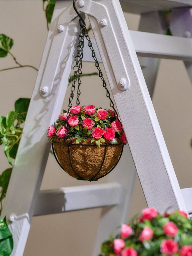 Sinsay - Plantă decorativă suspendată - roz