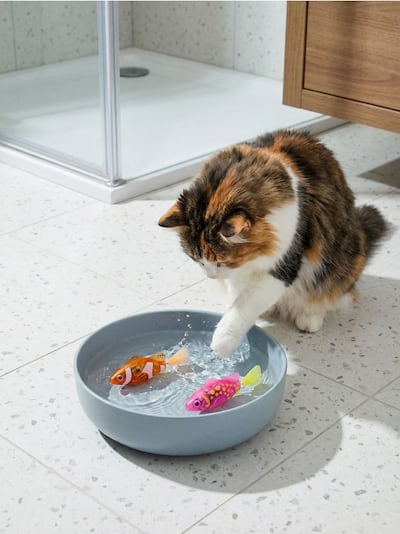 Elektrooniline lemmikloomamänguasi kala kujul