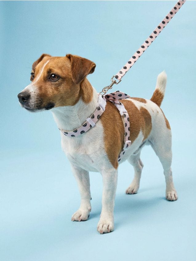 Sinsay - Ham pentru animale cu buline și fundiță - roz-pastel