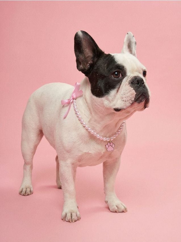 Sinsay - Guler decorativ pentru animal de companie cu reglaj - roz-pastel