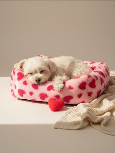 Koeravoodi südame mustriga