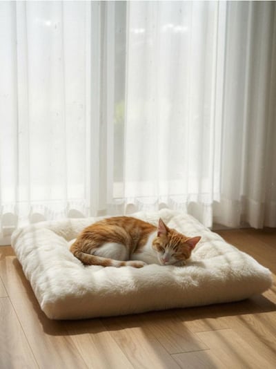 Ліжечко для домашніх тварин